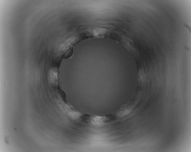 X0000101970527200807251214