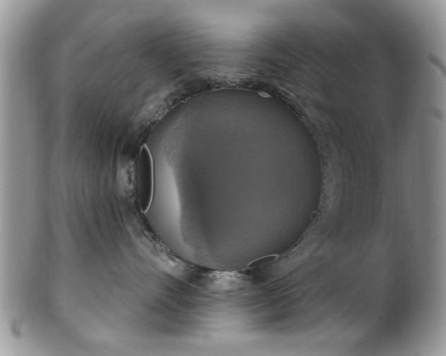 X0000101970528200807251214