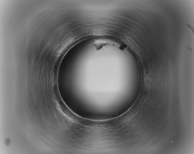 X0000101970530200807251213