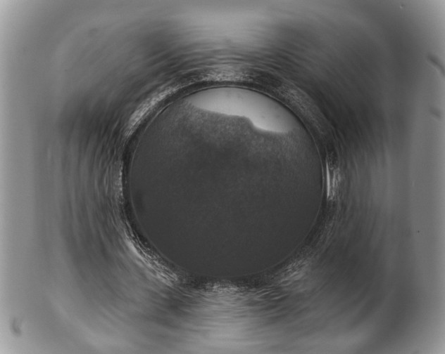 X0000101970531200807251213