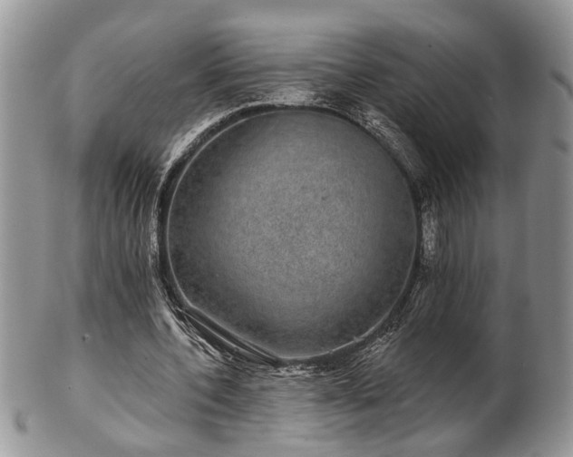X0000101970532200807251213