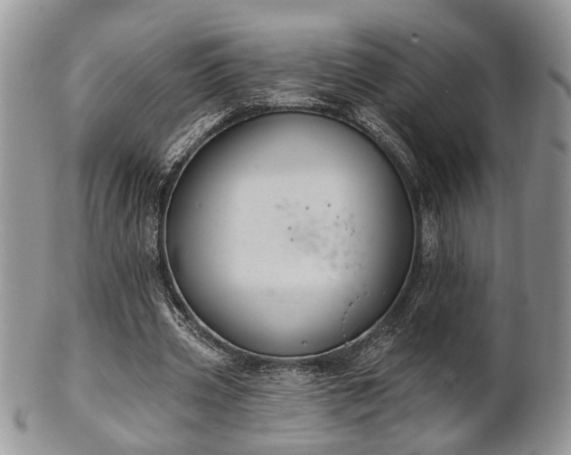 X0000101970533200807251213