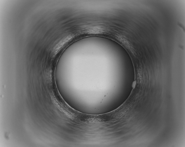 X0000101970535200807251213