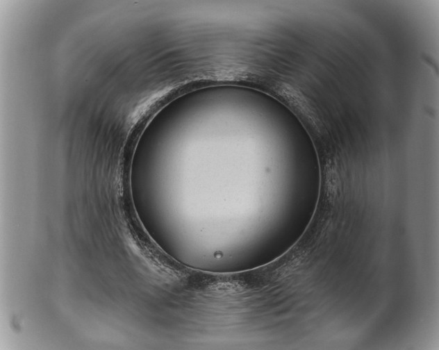 X0000101970536200807251213