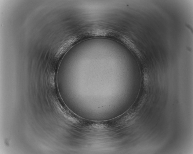 X0000101970537200807251213