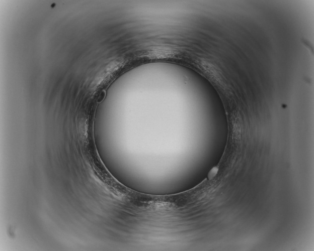 X0000101970539200807251213