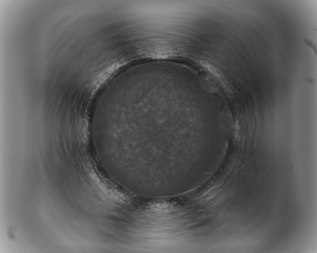 X0000101970540200807251213