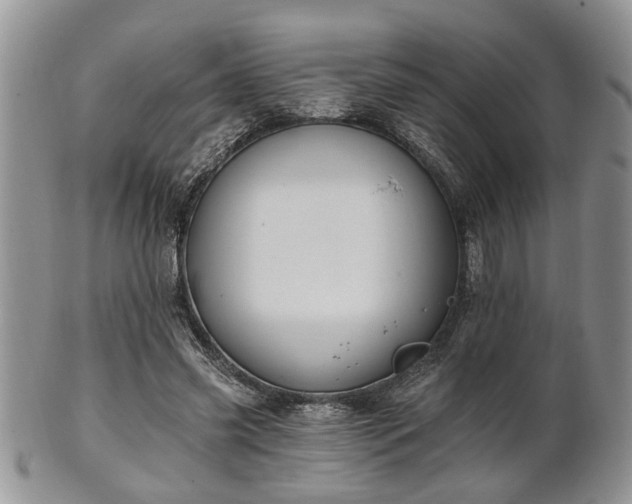 X0000101970541200807251213