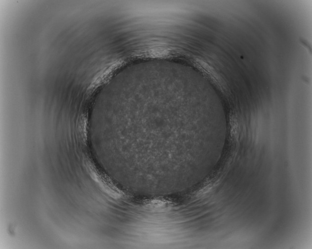 X0000101970542200807251213