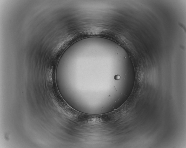X0000101970543200807251213
