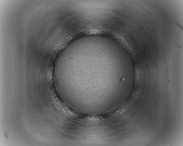 X0000101970545200807251213