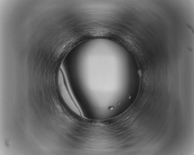 X0000101970547200807251213