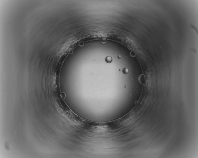 X0000101970548200807251213