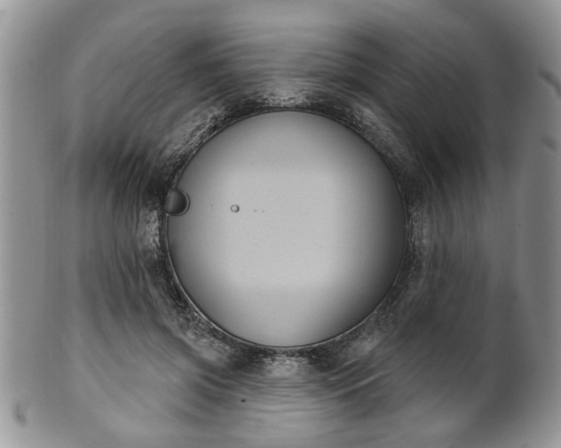 X0000101970549200807251213