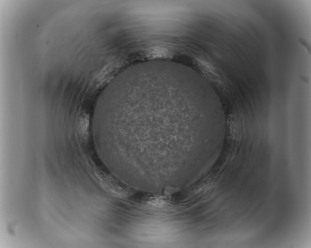 X0000101970550200807251213