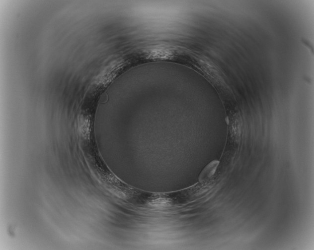 X0000101970551200807251213