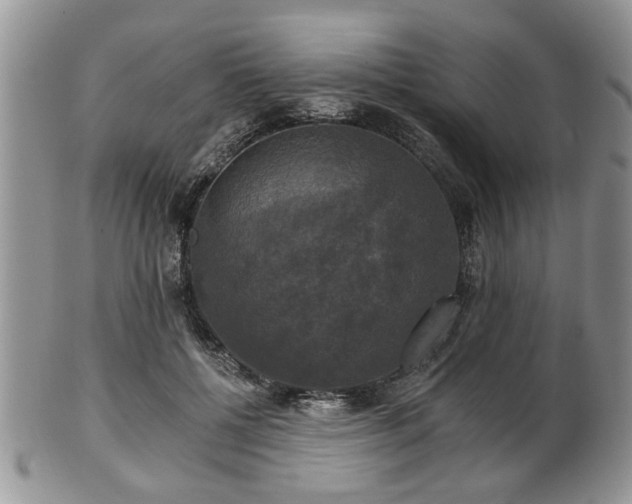 X0000101970552200807251213