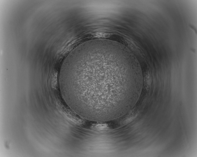 X0000101970554200807251213