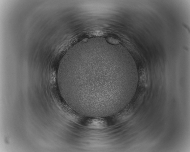 X0000101970555200807251213