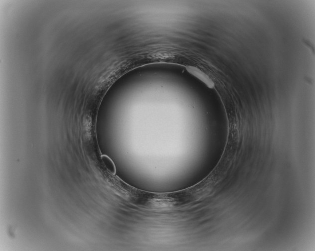 X0000101970556200807251213