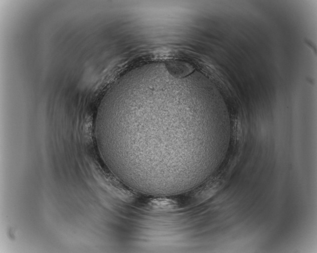 X0000101970557200807251213