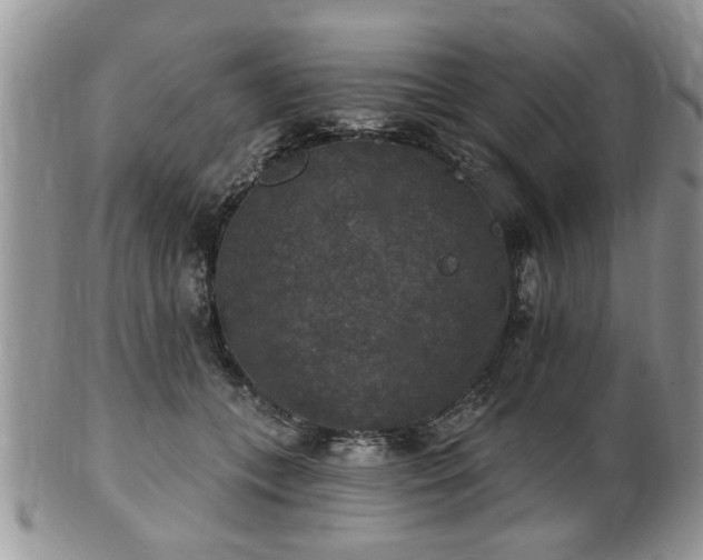X0000101970559200807251213