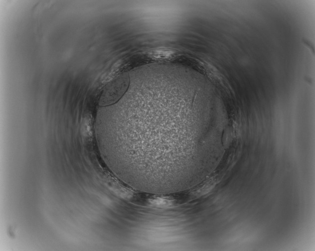 X0000101970561200807251213