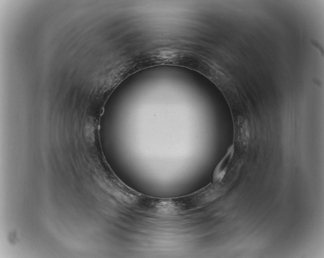 X0000101970562200807251213