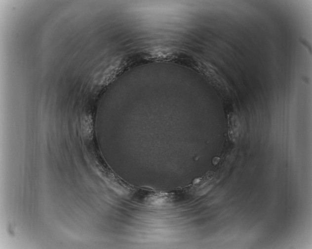 X0000101970563200807251213
