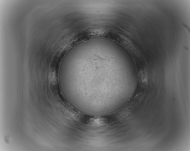 X0000101970564200807251213