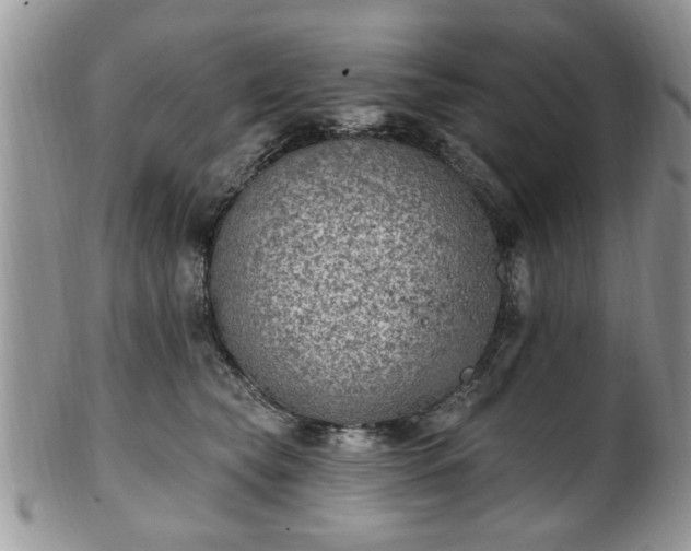 X0000101970565200807251213