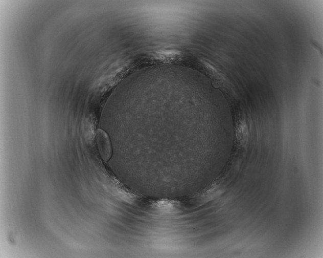 X0000101970566200807251213