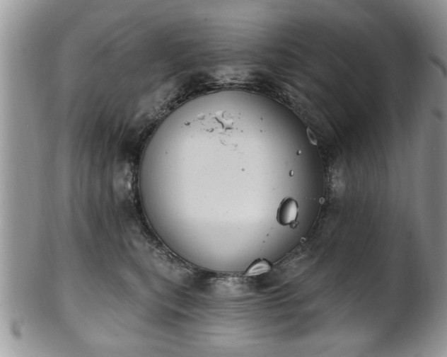 X0000101970567200807251213