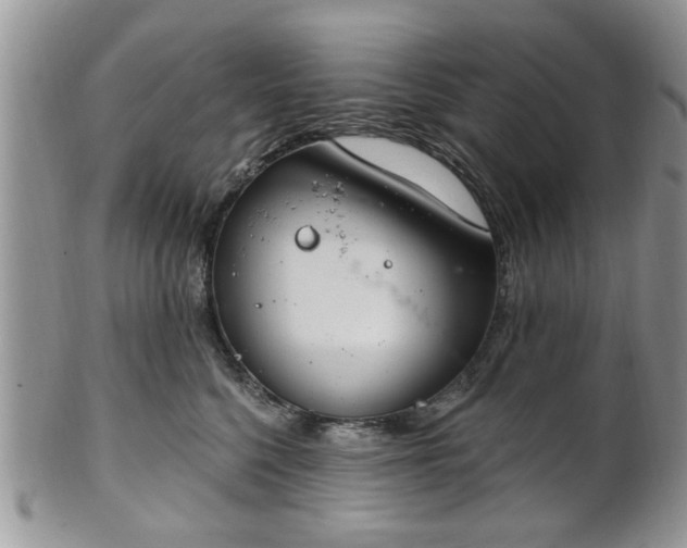 X0000101970568200807251213