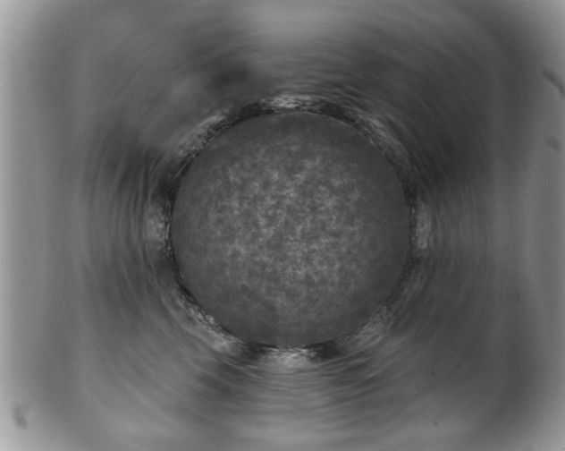 X0000101970569200807251213