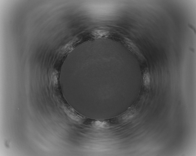 X0000101970570200807251213
