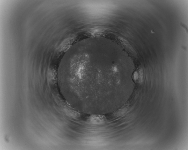 X0000101970571200807251213