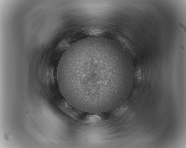 X0000101970572200807251213