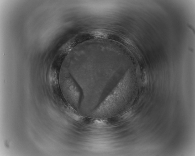 X0000101970573200807251213