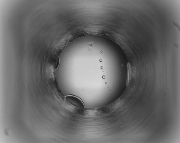 X0000101970575200807251214