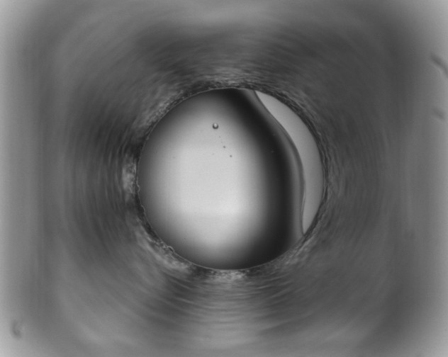 X0000101970576200807251214