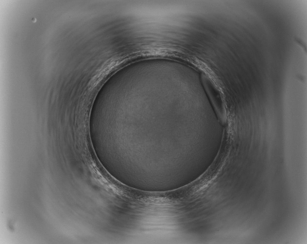 X0000101970577200807251213
