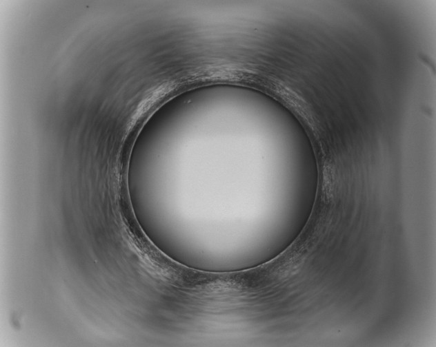 X0000101970578200807251213