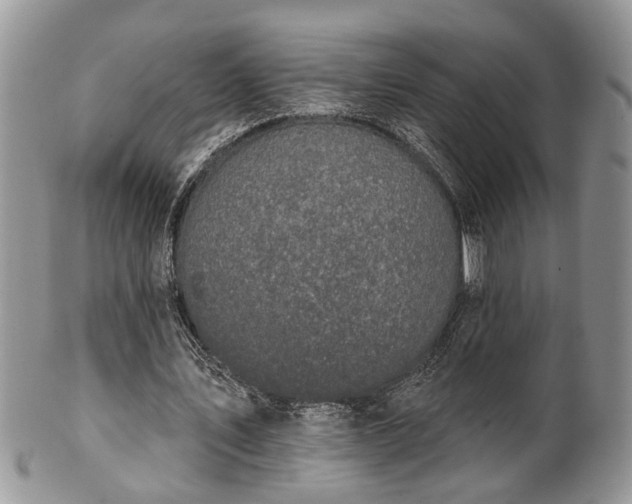 X0000101970579200807251213