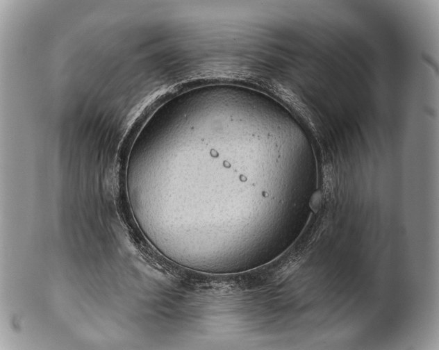 X0000101970580200807251213
