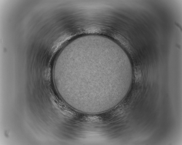 X0000101970583200807251213