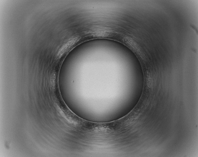 X0000101970586200807251213