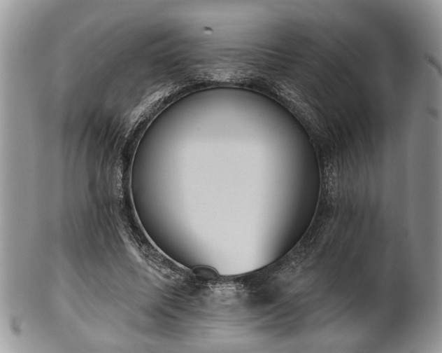 X0000101970587200807251213