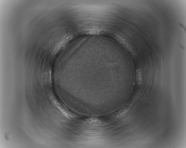 X0000101970589200807251213