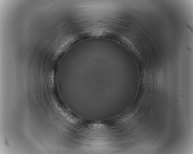 X0000101970590200807251213